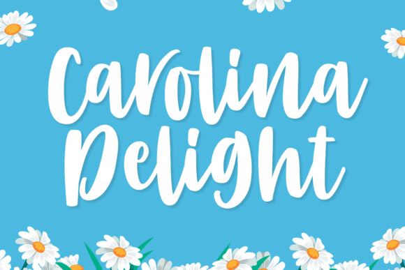 Carolina Delight: A Playful Script Font for Web Design