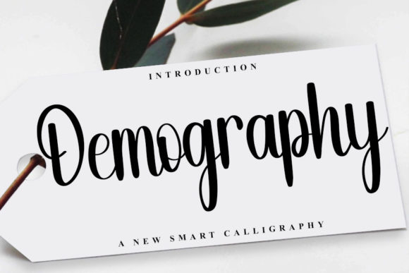 Demography Font: Elevate Your Campaign Visuals